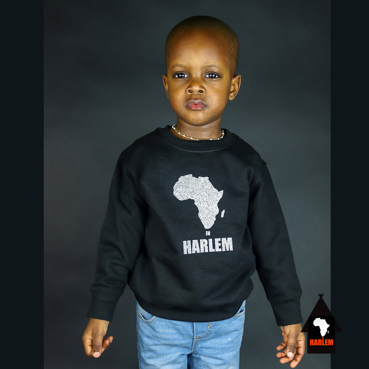 Unisex Africa in Harlem Crewneck Sweatshirt Silver